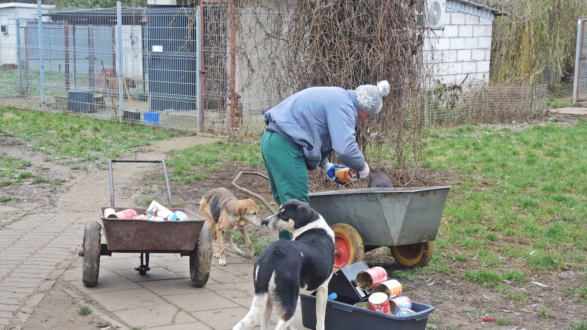 Więźniowie pomogli przygotować łomżyńskie schronisko do zimy