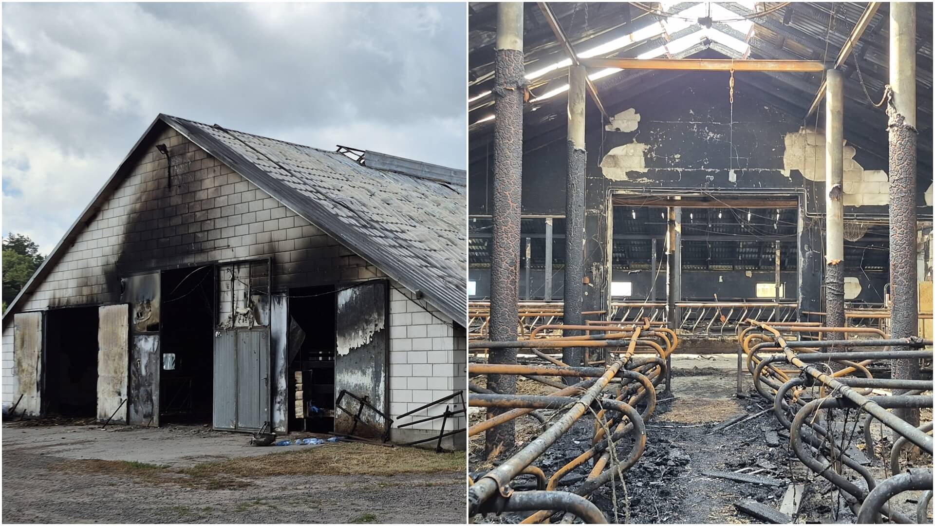 Ogień zabrał niemal cały dorobek życia. Trwa zbiórka zwierząt na rzecz rodziny Gręsiów z Karpowicz koło Suchowoli