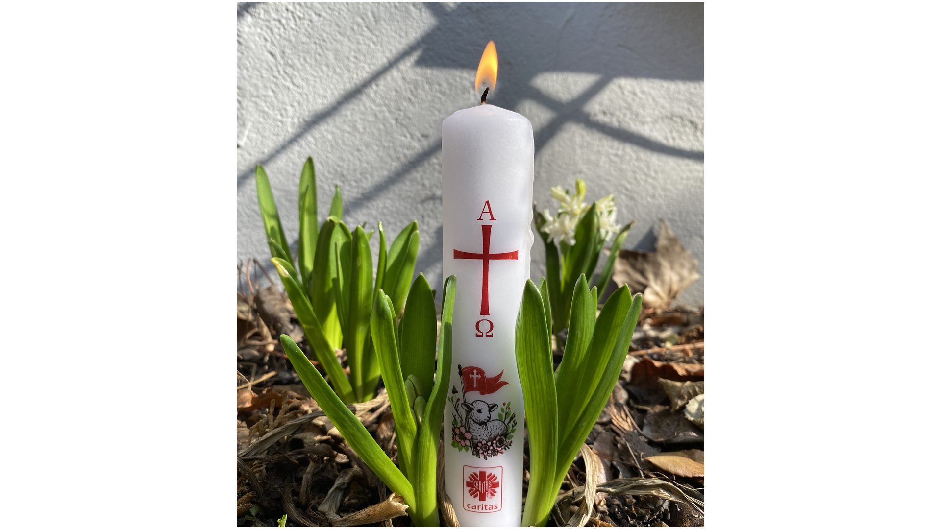 Kupując świece wielkanocne można pomóc potrzebującym