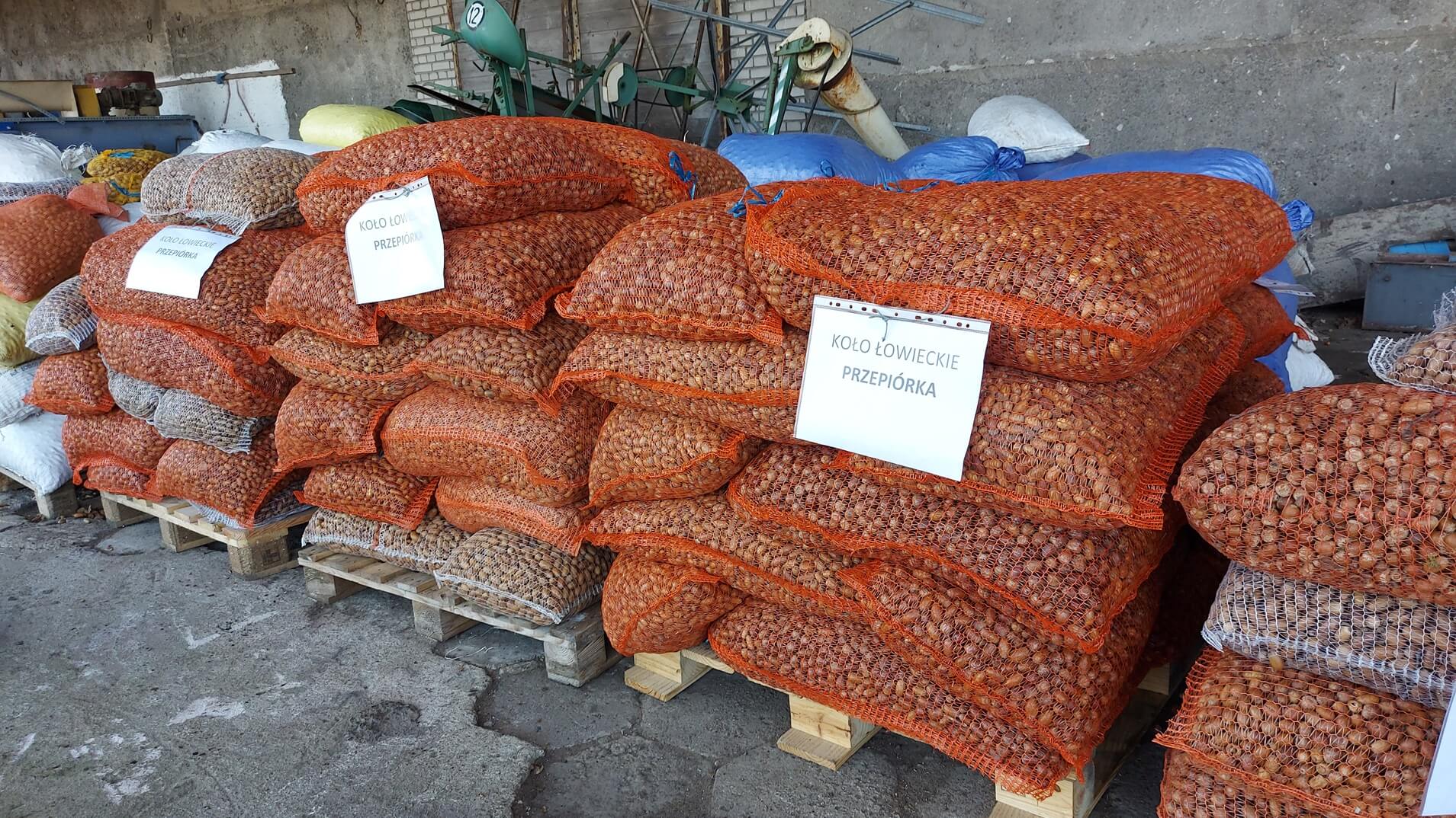 Tony żołędzi dla zwierząt od uczniów, leśników i myśliwych