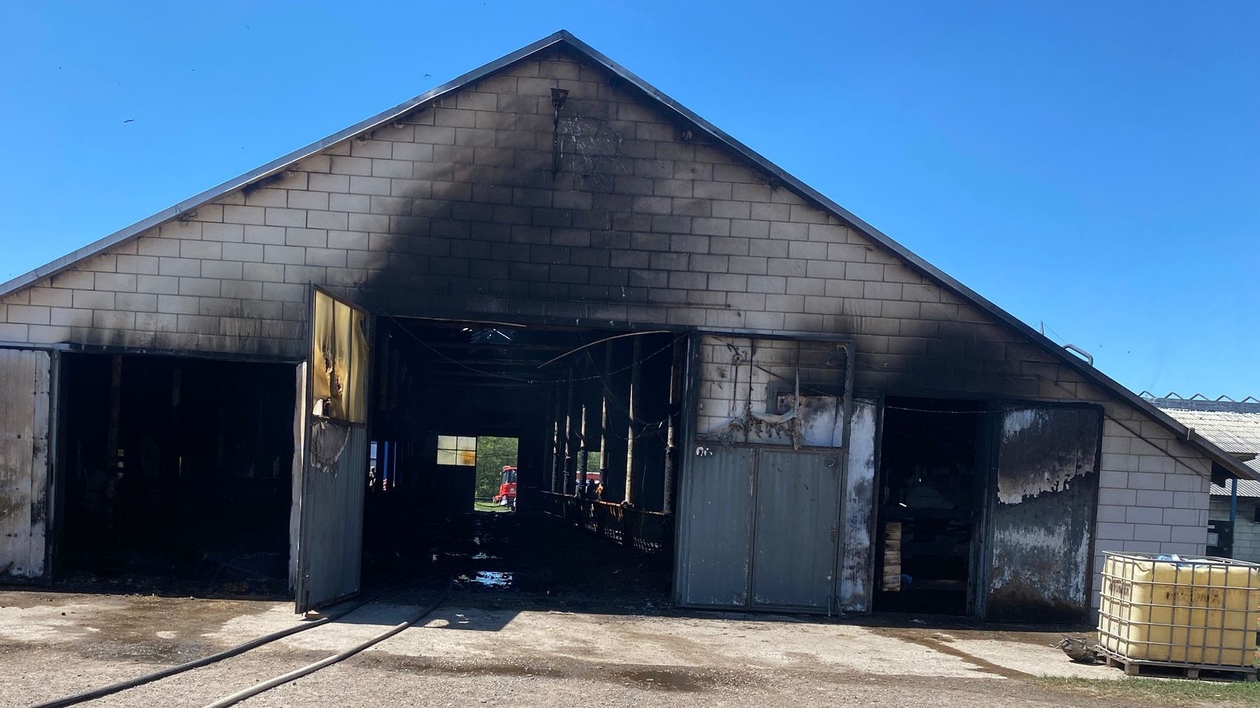 Duży pożar obory pod Suchowolą - zginęły zwierzęta, straty to blisko milion złotych