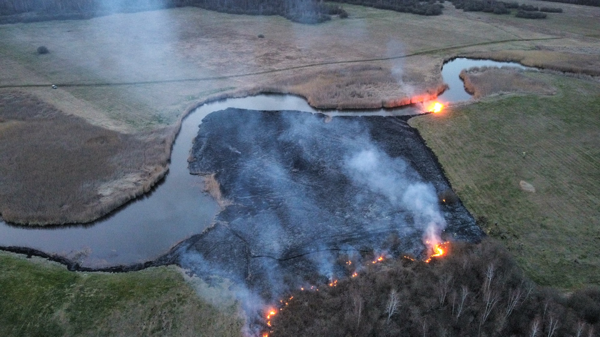 Kolejny pożar w Biebrzańskim Parku Narodowym. Strażacy walczyli z ogniem po zmroku