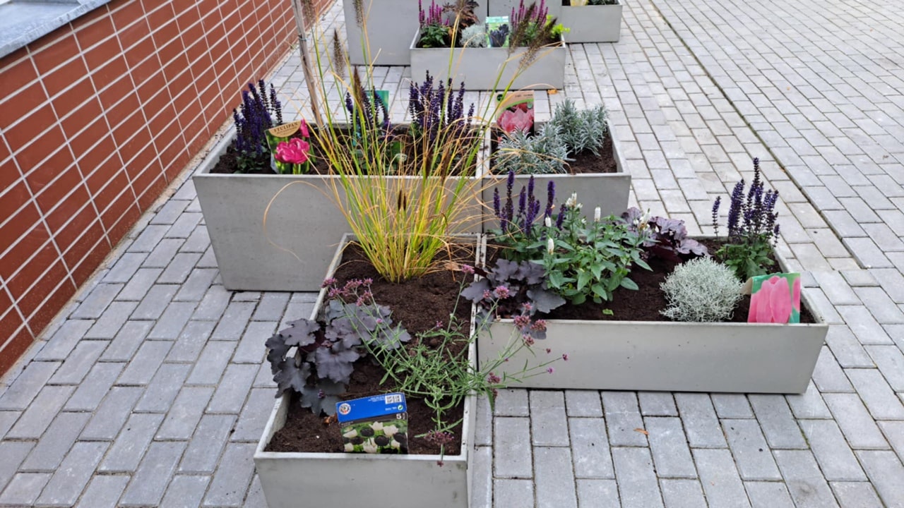 Ukwiecone patio powstało w holu budynku Wydziału Mechanicznego Politechniki Białostockiej