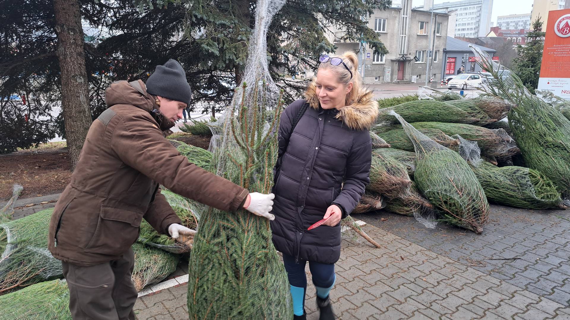 Akcja "Choinka dla życia" - można oddać krew i w zamian dostać drzewko