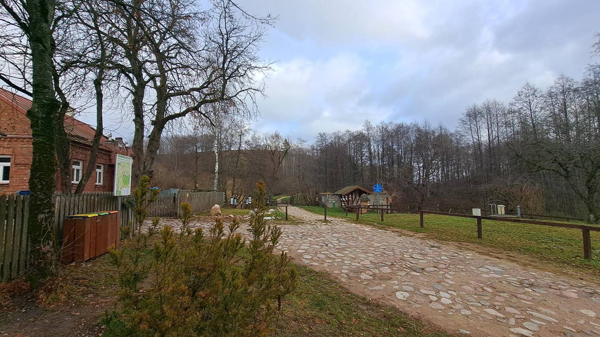 Apelują o zaprzestanie wycinki drzew w Suwalskim Parku Krajobrazowym