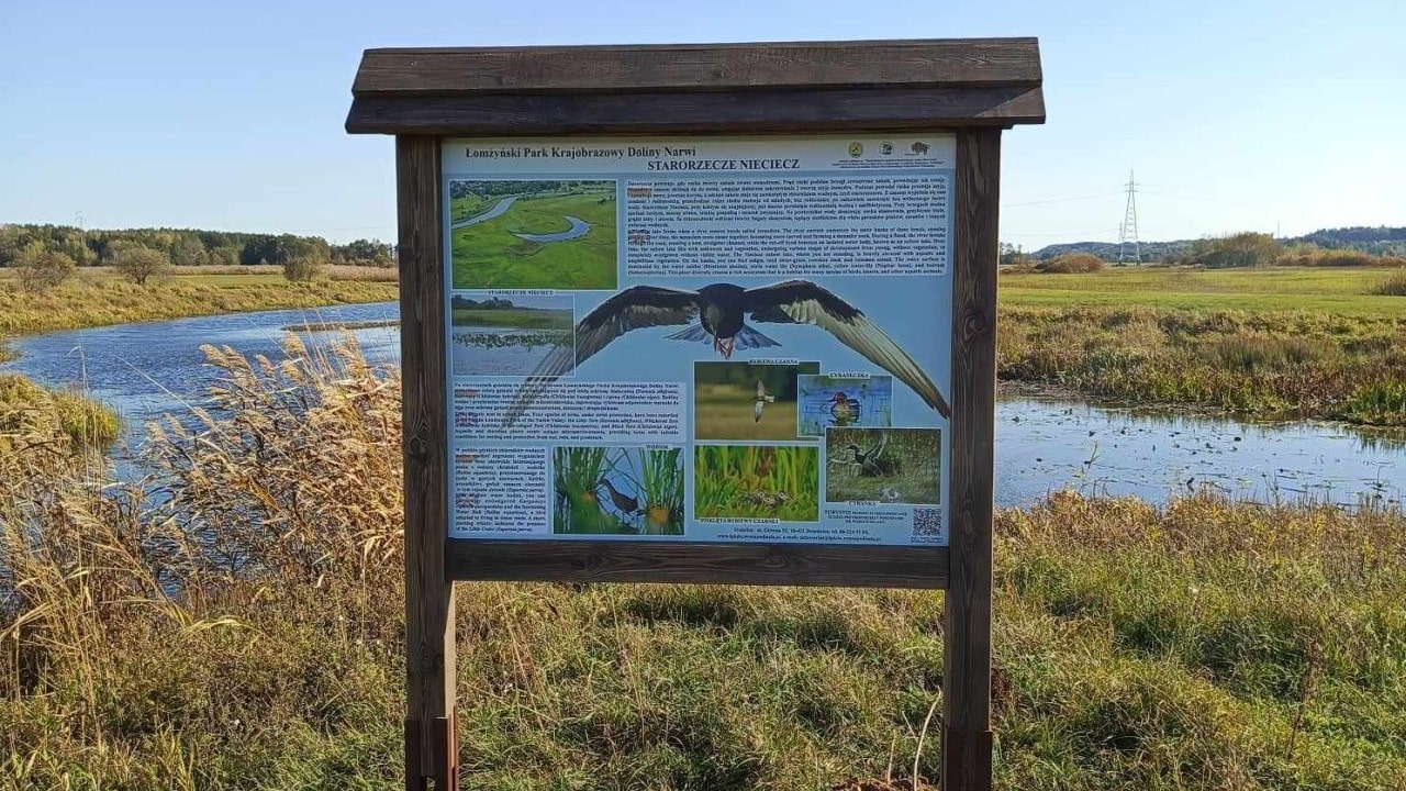 Nowa ścieżka edukacyjna powstała w Łomżyńskim Parku Krajobrazowym Doliny Narwi