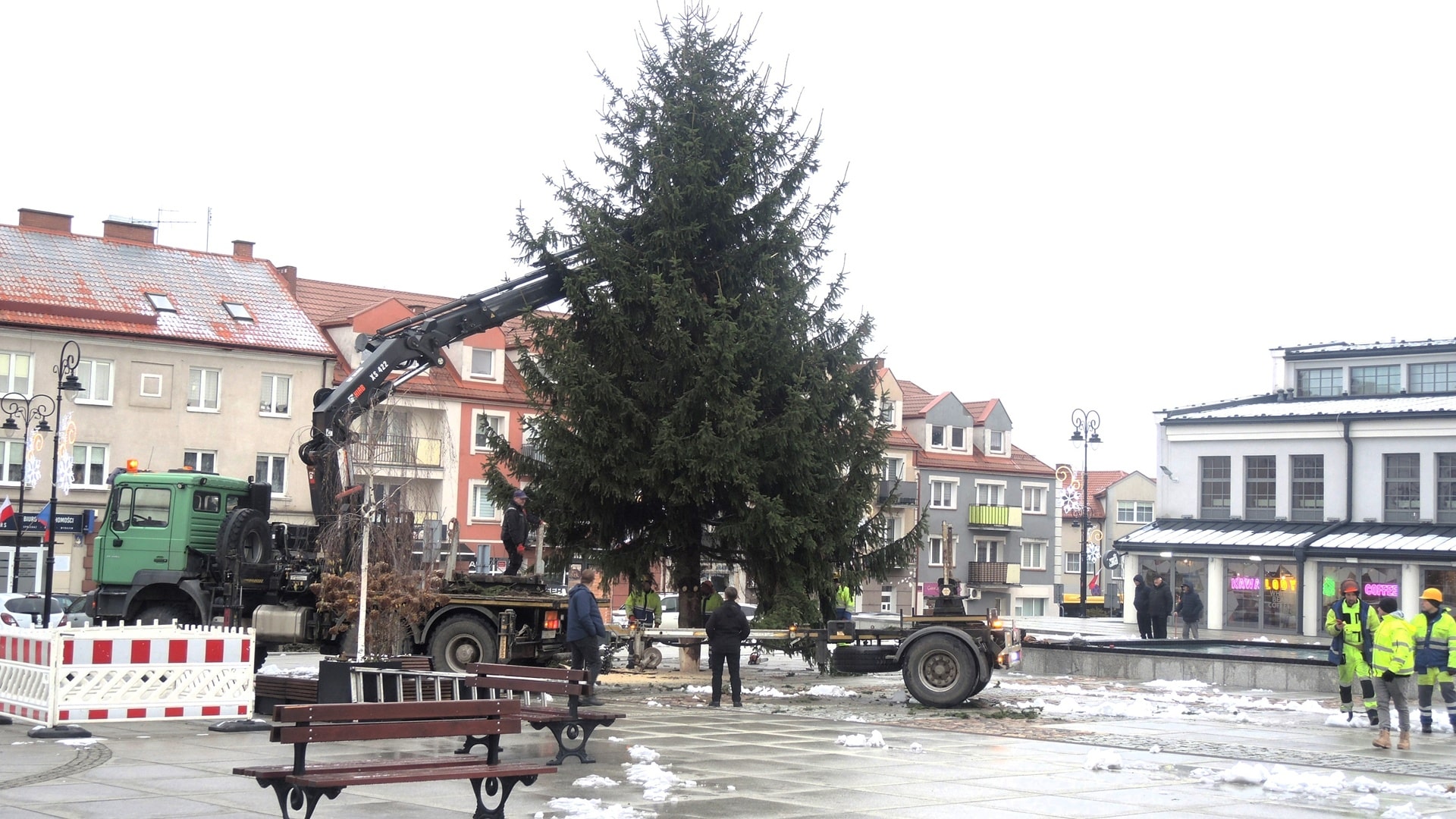 Jeszcze nie przystrojona, ale jest. Miejska choinka stanęła przed ratuszem w Łomży