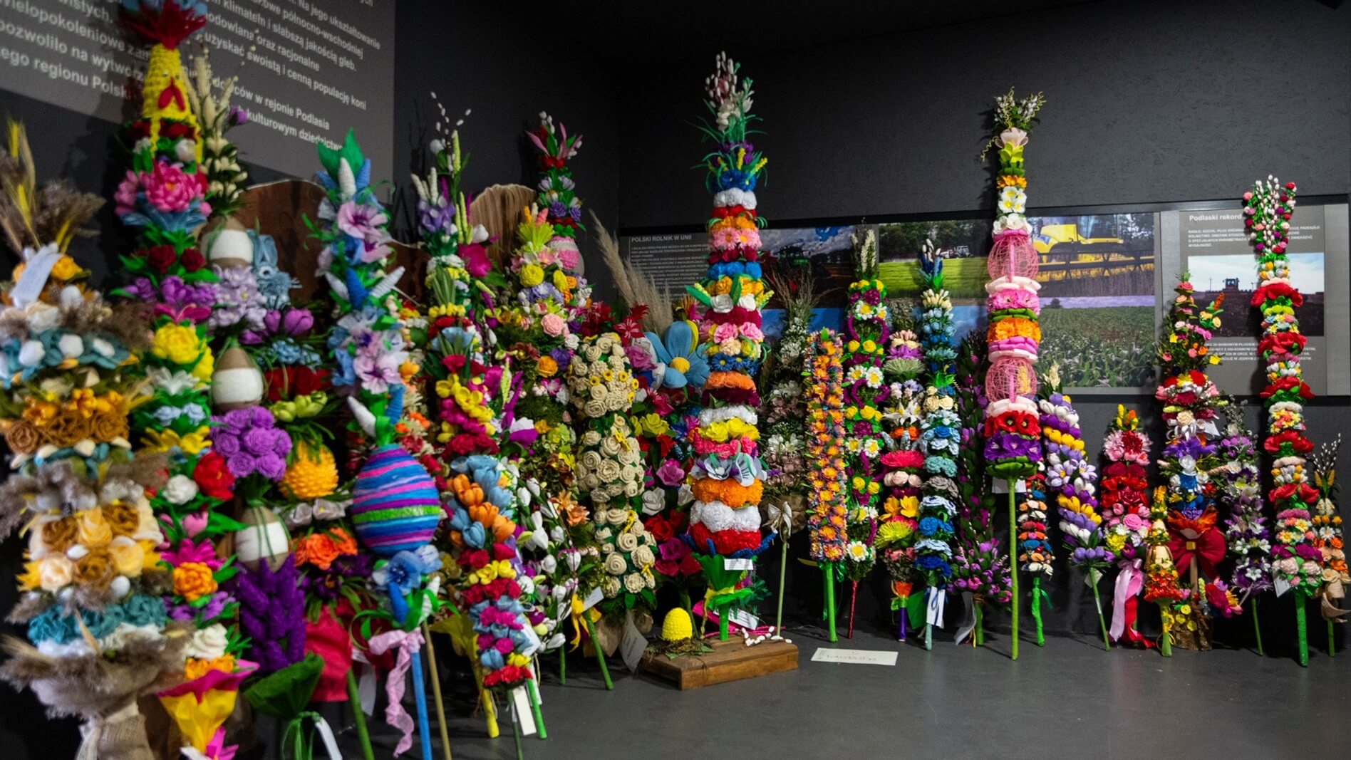 Nagroda specjalna pojedzie do Wysokiego Mazowieckiego