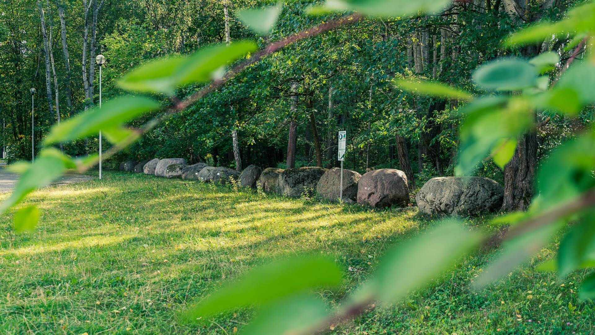 W kampusie UwB powstanie Park Bioróżnorodności