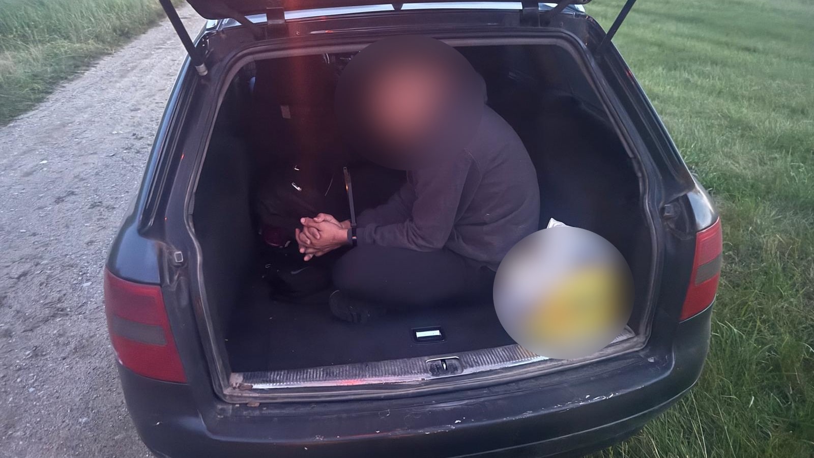 Wspólne patrole Straży Granicznej i Wojsk Obrony Terytorialnej zatrzymały dwie grupy nielegalnych migrantów