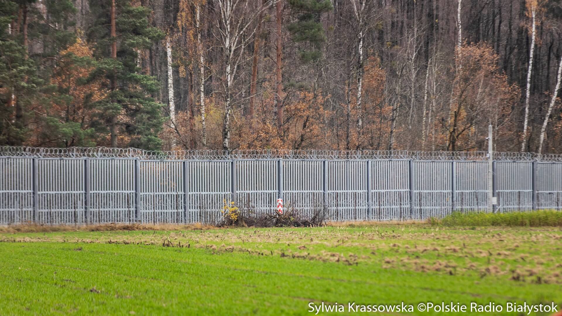 Udało się ustalić tożsamość migranta zmarłego przy granicy z Białorusią - to Erytrejczyk