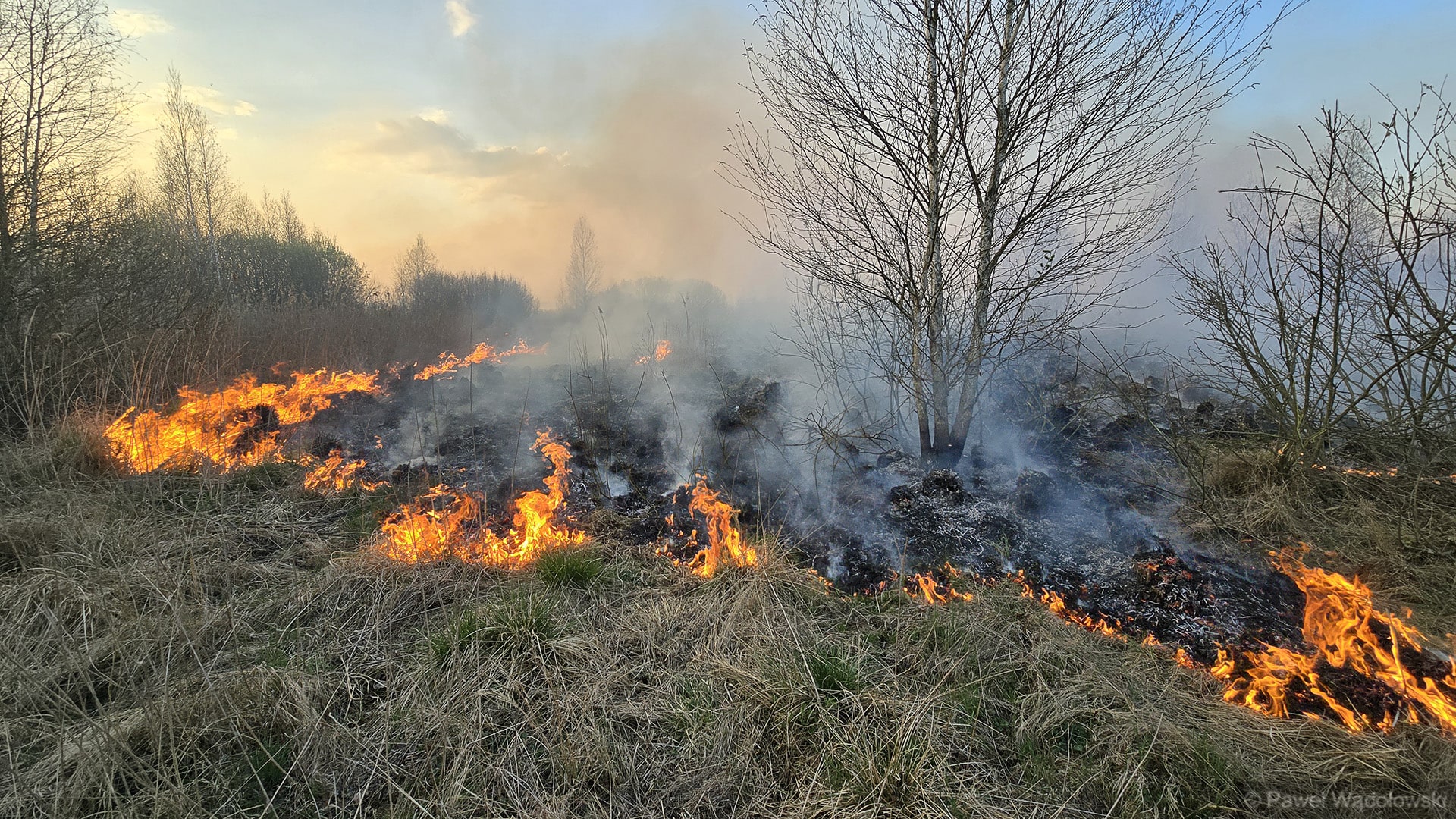 Wyższe kary za wypalanie traw. Czy staną się pomocne w walce z tą plagą?