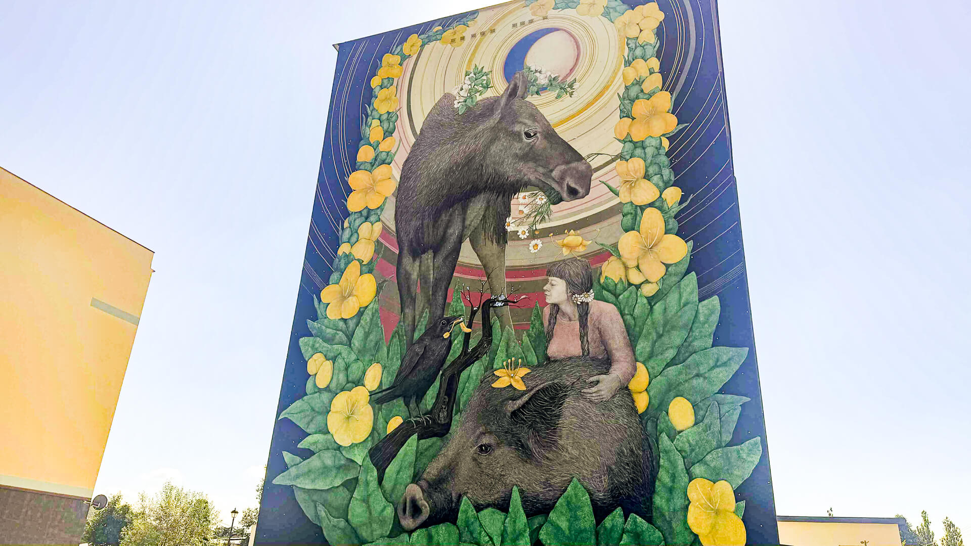 Simona Kossak patrzy z hajnowskiego muralu