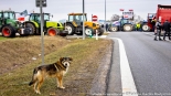 Protest rolników w Suchowoli, fot. Sylwia Krassowska