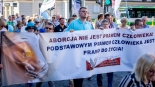 Marsz dla Życia i Rodziny, fot. Sylwia Krassowska