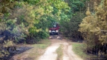 Pożar lasu w Chmielewie, fot. Paweł Wądołowski