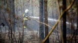 Pożar lasu w Chmielewie, fot. Paweł Wądołowski