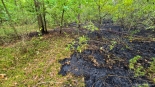 Pożar lasu w Chmielewie, fot. Paweł Wądołowski
