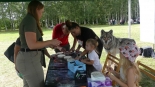 W  Nadleśnictwie Browsk koło Narewki odbył się piknik edukacyjny „Dzień Żubra w Gruszkach”, 3.08.2024, fot. Ludmiła Łabowicz