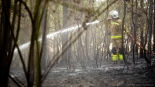 Pożar lasu w Chmielewie, fot. Paweł Wądołowski
