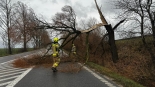Skutki wichury w woj. podlaskim, 16.12.2024, fot. Spotted Białystok