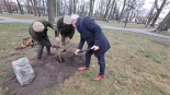 Trzy dęby posadzono w Augustowie z okazji 200-lecia Nadleśnictwa Augustów, 9.12.2024, fot. Iza Kosakowska