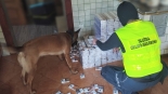 Nielegalne papierosy znalezione przez Hienę, 28.04.2025, fot. KAS