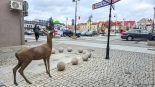 Rzeźba młodego jelenia w Łomży, 21.12.2024, fot. Paweł Wądołowski