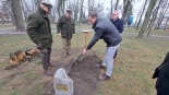 Trzy dęby posadzono w Augustowie z okazji 200-lecia Nadleśnictwa Augustów, 9.12.2024, fot. Iza Kosakowska