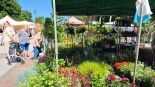 Jarmark Kwiatów i Rękodzieła w Białymstoku, 14.06.2025, fot. Marcin Gliński